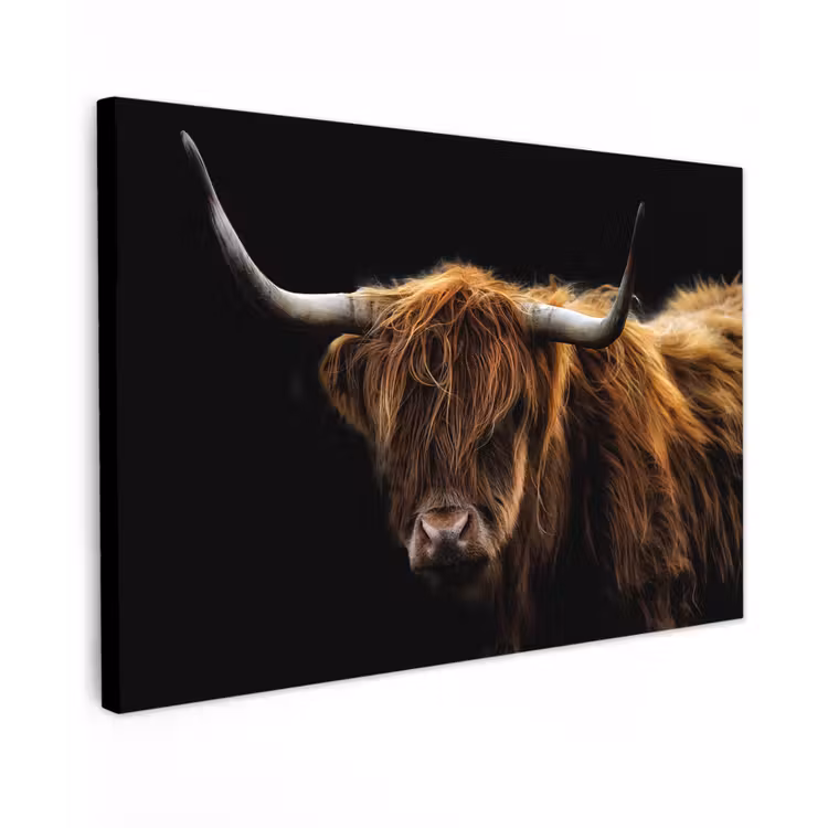 Schotse Hooglander - Horens - Zwart - Dieren - Natuur - Wild - Koe Tuinposter op houten frame 2 cm dik klein -3d