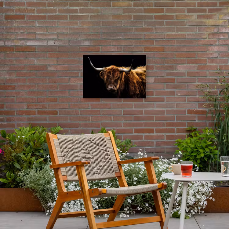 Schotse Hooglander - Horens - Zwart - Dieren - Natuur - Wild - Koe Tuinposter op houten frame 2 cm dik klein -sfeer3