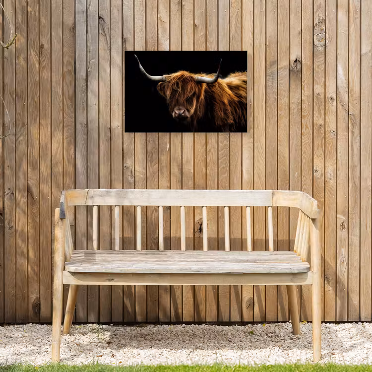 Schotse Hooglander - Horens - Zwart - Dieren - Natuur - Wild - Koe Tuinposter op houten frame 2 cm dik klein -sfeer4