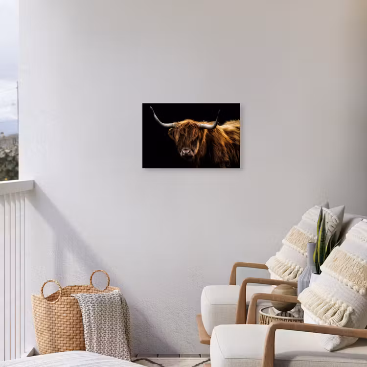 Schotse Hooglander - Horens - Zwart - Dieren - Natuur - Wild - Koe Tuinposter op houten frame 2 cm dik klein -sfeer1