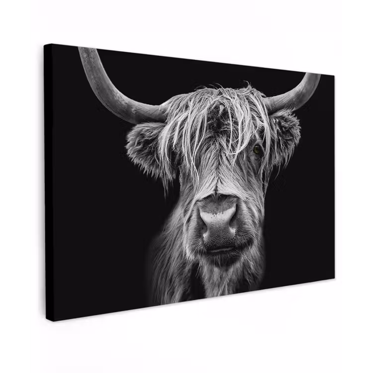 Schotse Hooglander - Horens - Zwart - Wit - Koe - Wild - Dieren Tuinposter op houten frame 2 cm dik klein -3d