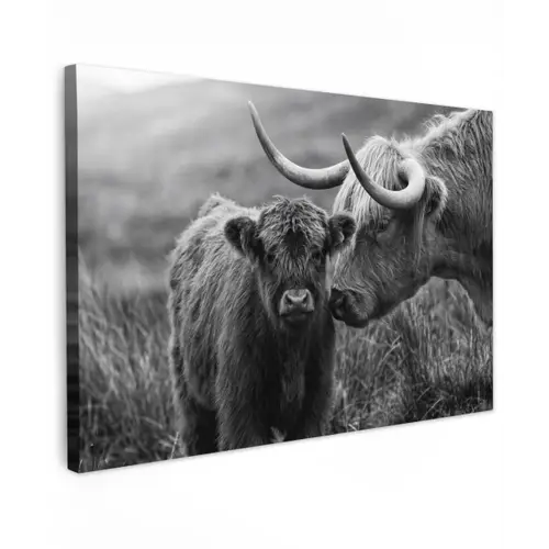 Schotse hooglander - Kalf - Zwart - Wit Tuinposter op houten frame 2 cm dik klein -3d
