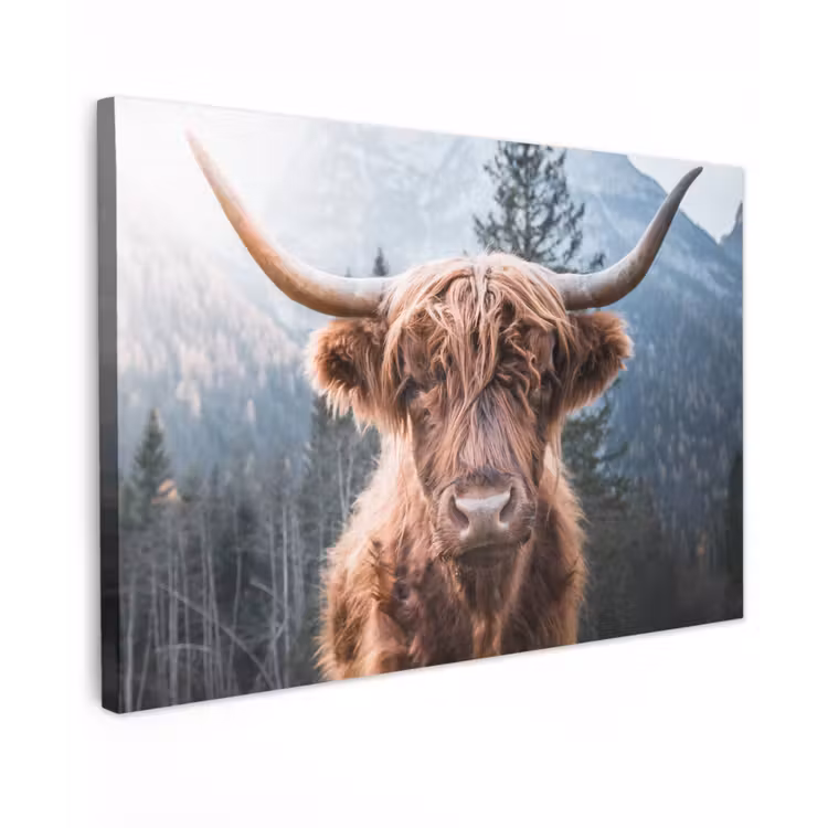 Schotse hooglander - Koe - Dieren - Berg - Natuur Tuinposter op houten frame 2 cm dik klein -3d