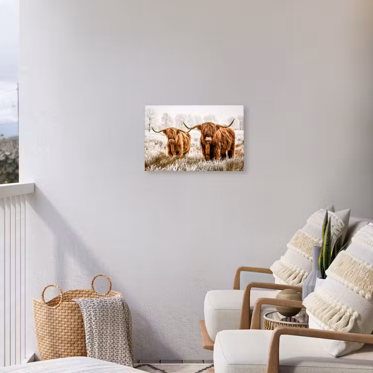Schotse hooglander - Koe - Natuur - Winter Tuinposter op houten frame 2 cm dik klein -sfeer1