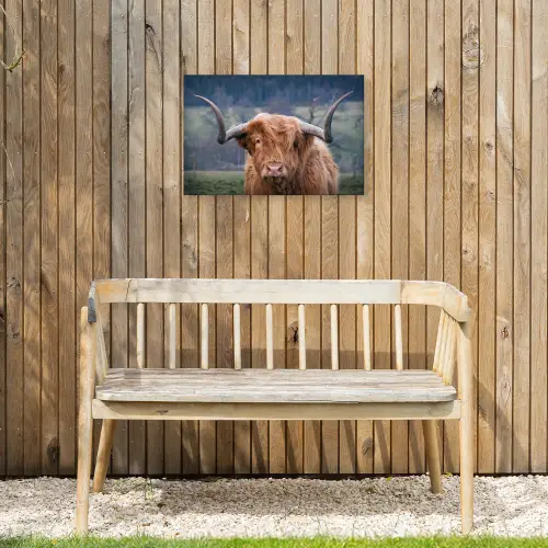 Schotse Hooglander - Koeienkop - Landschap - Natuur - Koe Tuinposter op houten frame 2 cm dik klein -sfeer4