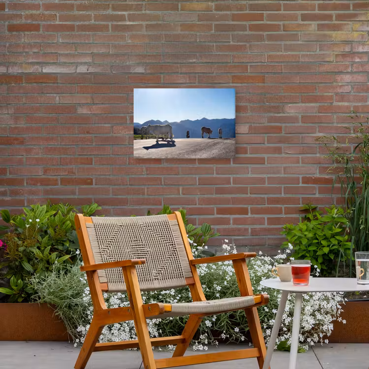 Schotse hooglander - Licht - Berg - Natuur Tuinposter op houten frame 2 cm dik klein -sfeer3