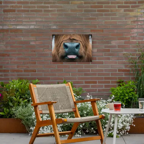 Schotse hooglander - Neus - Bruin Tuinposter op houten frame 2 cm dik klein -sfeer3