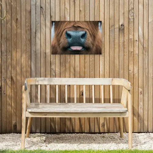 Schotse hooglander - Neus - Bruin Tuinposter op houten frame 2 cm dik klein -sfeer4