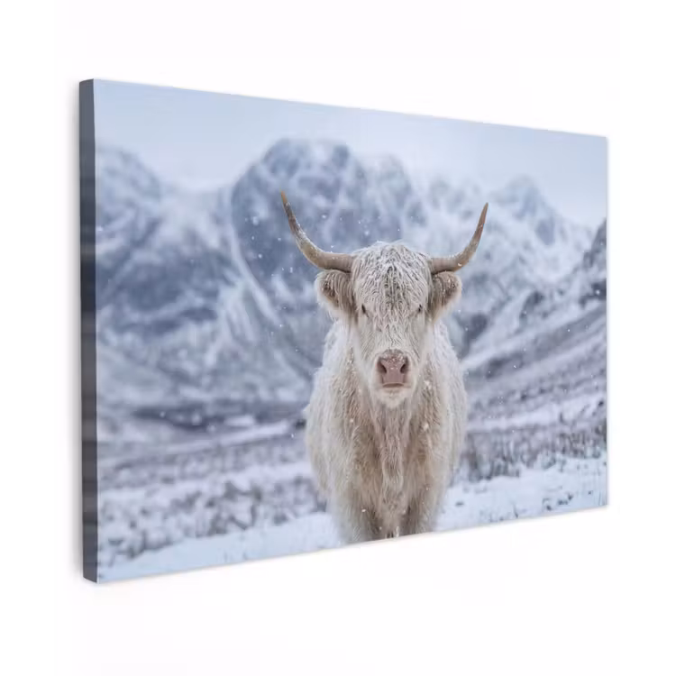Schotse Hooglander - Sneeuw - Bergen - Winter Tuinposter op houten frame 2 cm dik klein -3d