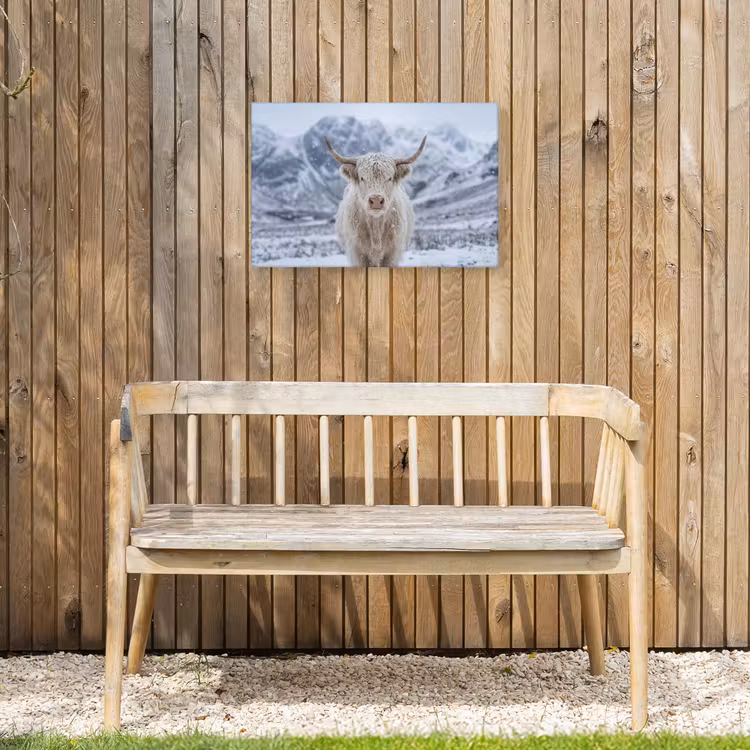 Schotse Hooglander - Sneeuw - Bergen - Winter Tuinposter op houten frame 2 cm dik klein -sfeer4