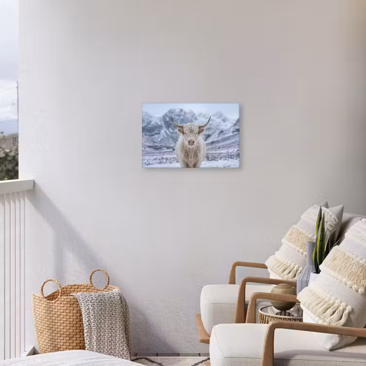 Schotse Hooglander - Sneeuw - Bergen - Winter Tuinposter op houten frame 2 cm dik klein -sfeer1