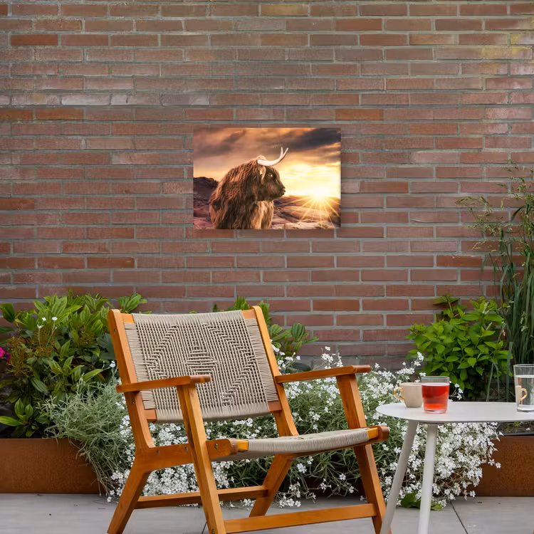 Schotse hooglander - Zon - Horizon - Koe - Dieren Tuinposter op houten frame 2 cm dik klein -sfeer3