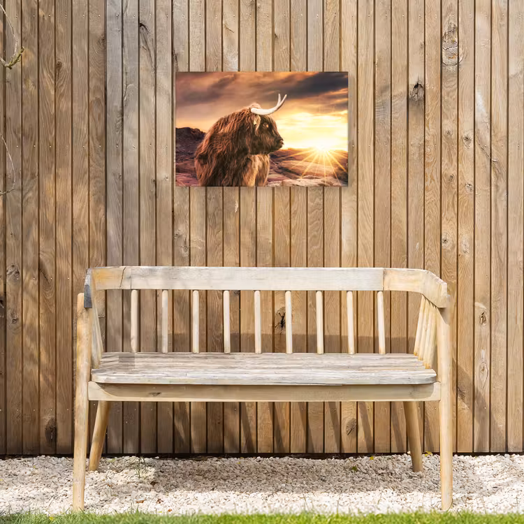 Schotse hooglander - Zon - Horizon - Koe - Dieren Tuinposter op houten frame 2 cm dik klein -sfeer4