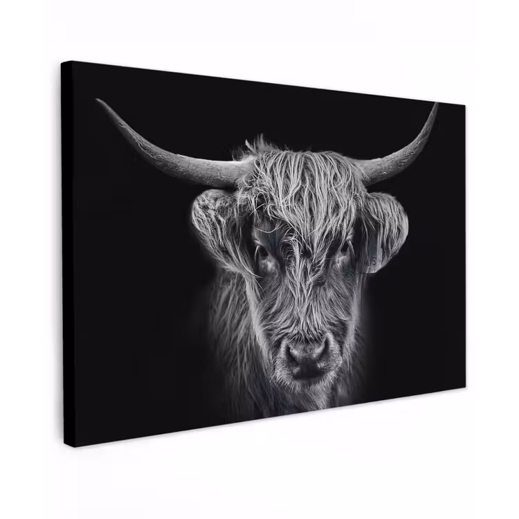 Schotse hooglander - Zwart - Koe - Dieren Tuinposter op houten frame 2 cm dik klein -3d