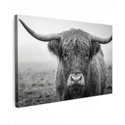 Schotse hooglander - Zwart - Wit - Gras Tuinposter op houten frame 2 cm dik klein -3d