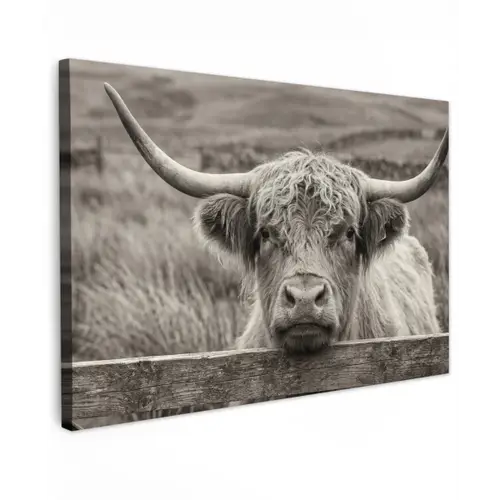 Schotse hooglander - Zwart - Wit - Hout Tuinposter op houten frame 2 cm dik klein -3d