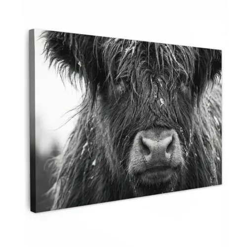 Schotse hooglander - Zwart - Wit - Sneeuwvlokken Tuinposter op houten frame 2 cm dik klein -3d