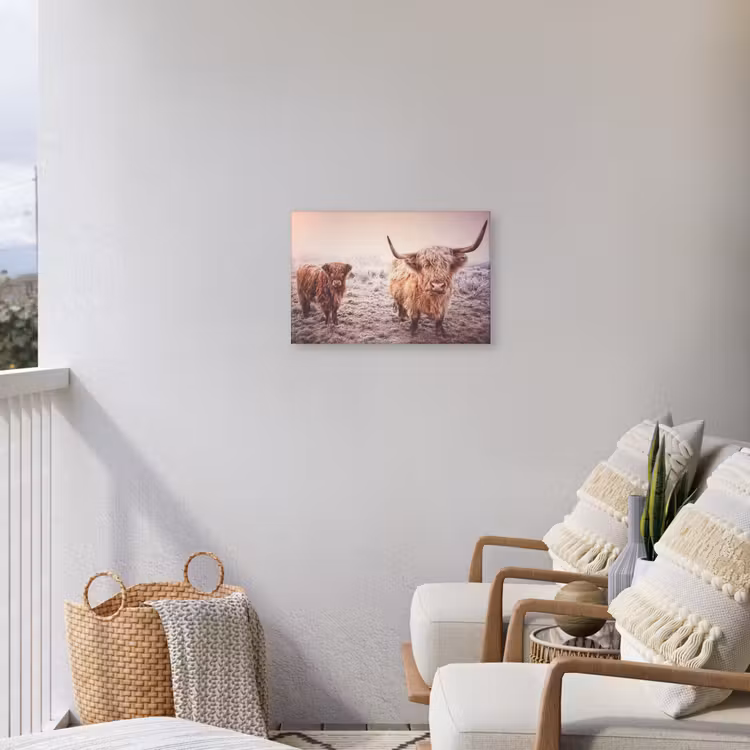 Schotse hooglanders - Licht - Lucht - Natuur Tuinposter op houten frame 2 cm dik klein -sfeer1