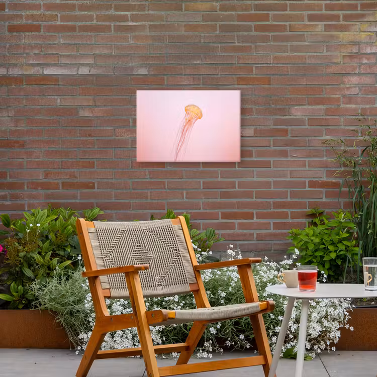 Sierlijk - Kwal - Roze Tuinposter op houten frame 2 cm dik klein -sfeer3