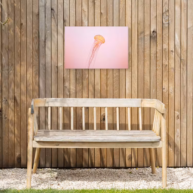Sierlijk - Kwal - Roze Tuinposter op houten frame 2 cm dik klein -sfeer4