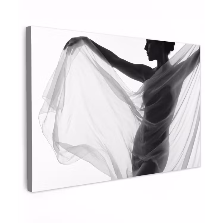 Silhouet - Sluier - Vormen - Zwart - Wit - Sensueel Tuinposter op houten frame 2 cm dik klein -3d