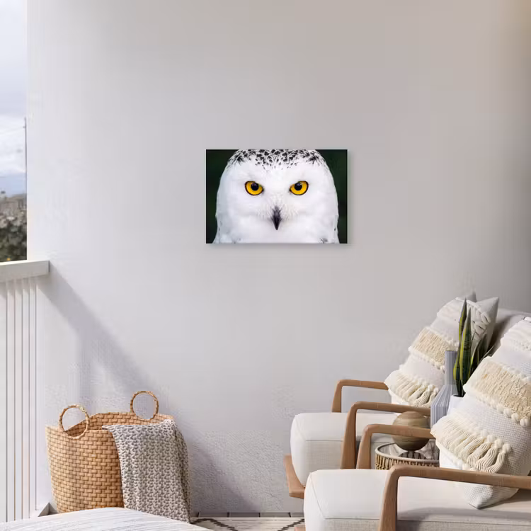 Sneeuwuil - Portret - Geel Tuinposter op houten frame 2 cm dik klein -sfeer1