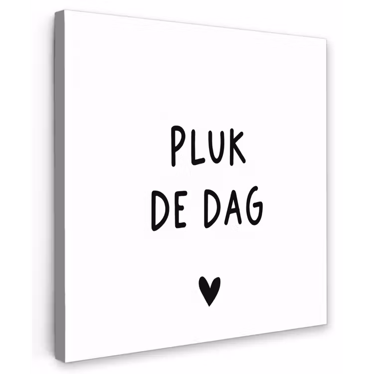 Spreuken - Quotes - Pluk de dag - Carpe diem Tuinposter op houten frame 2 cm dik middel -3d