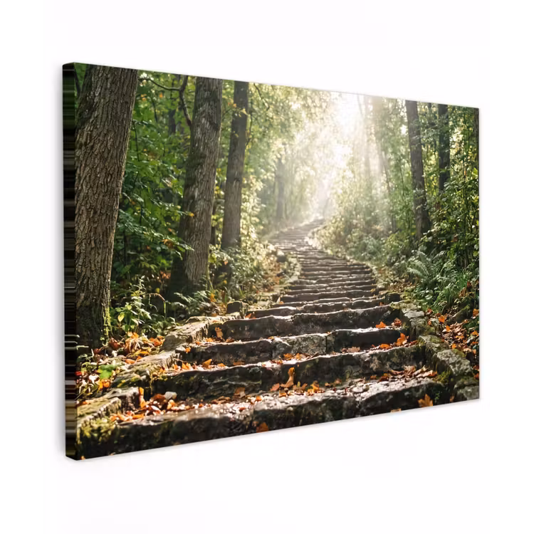 Stenen - Trap - Bos - Natuur Tuinposter op houten frame 2 cm dik klein -3d