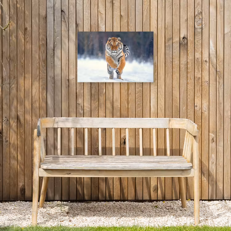 Tijger rennend door de sneeuw Tuinposter op houten frame 2 cm dik klein -sfeer4