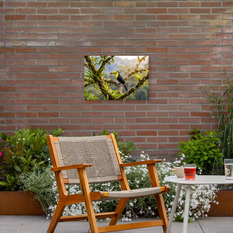 Toekan - Jungle - Natuur - Kleurrijk Tuinposter op houten frame 2 cm dik klein -sfeer3