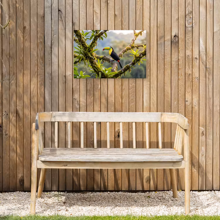 Toekan - Jungle - Natuur - Kleurrijk Tuinposter op houten frame 2 cm dik klein -sfeer4