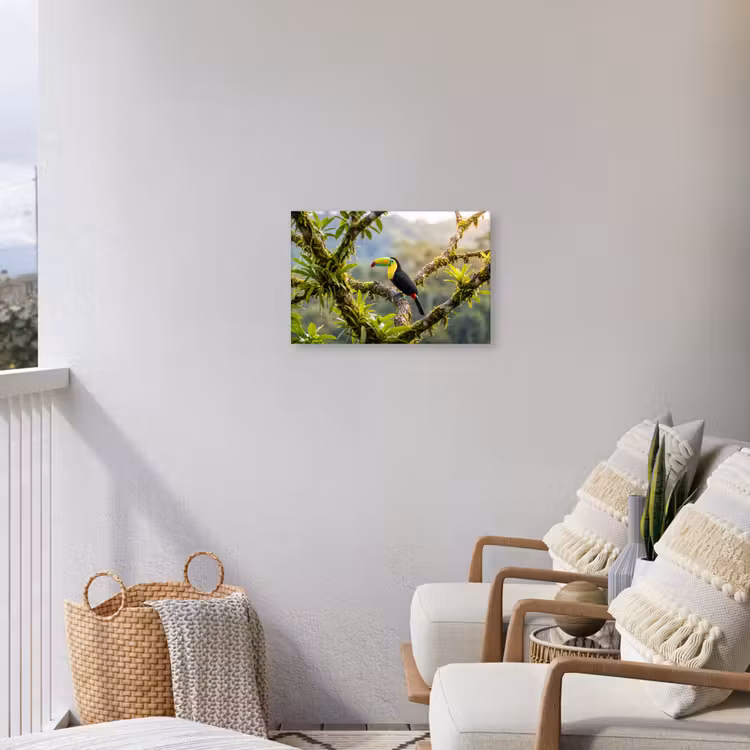 Toekan - Jungle - Natuur - Kleurrijk Tuinposter op houten frame 2 cm dik klein -sfeer1