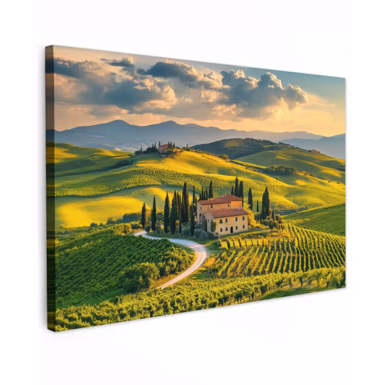 Toscane - Landschap - Wijngaarden Tuinposter op houten frame 2 cm dik klein -3d