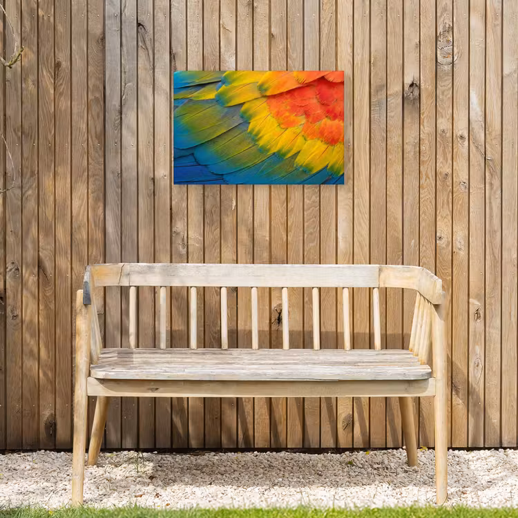 Veren - Ara - Kleurrijk Tuinposter op houten frame 2 cm dik klein -sfeer4