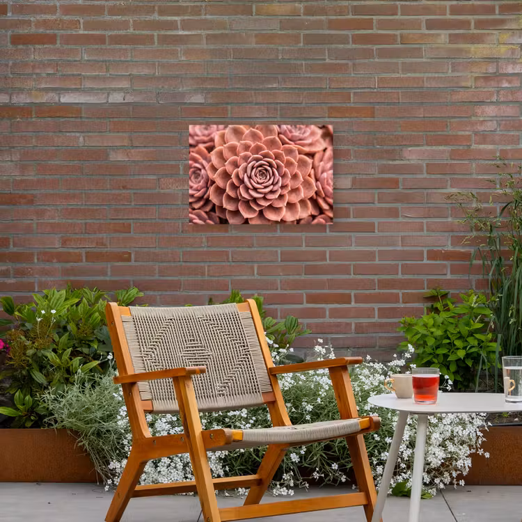 Vetplant - Organisch - Roze Tuinposter op houten frame 2 cm dik klein -sfeer3