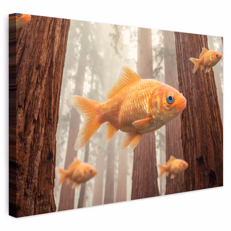 Buiten canvas - Vis - Bos - Fantasie - Vis - Bos - Fantasie Tuinposter op houten frame 2 cm dik klein