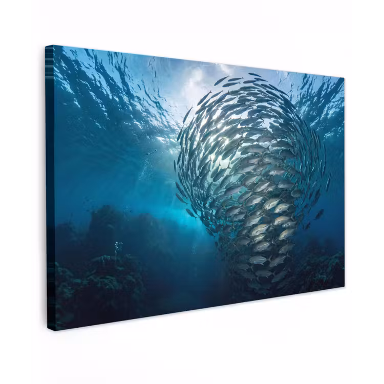 Vis - School - Oceaan - Natuur - Blauw Tuinposter op houten frame 2 cm dik klein -3d
