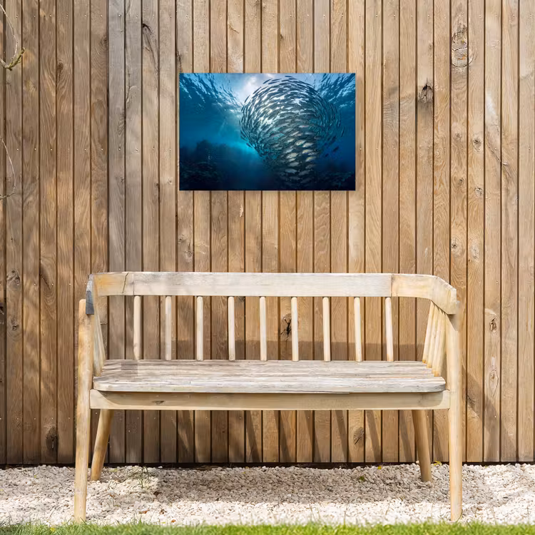 Vis - School - Oceaan - Natuur - Blauw Tuinposter op houten frame 2 cm dik klein -sfeer4