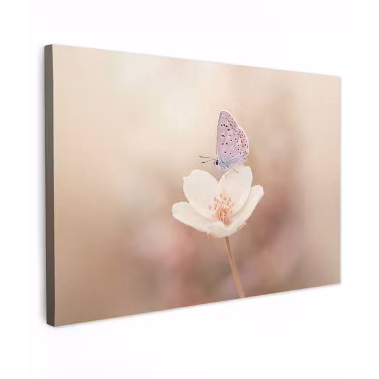 Vlinder - Bloem - Blauw Tuinposter op houten frame 2 cm dik klein -3d