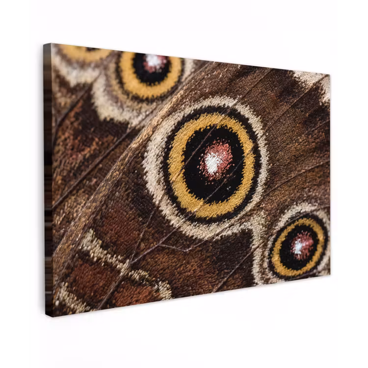 Vlinder - Vleugel - Abstract Tuinposter op houten frame 2 cm dik klein -3d