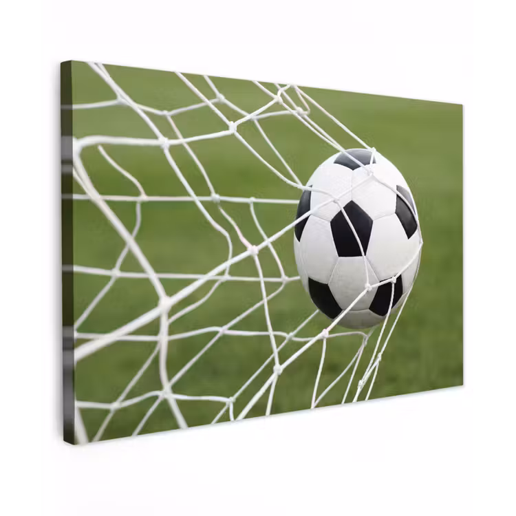 Voetbal - Goal - Net - Sport Tuinposter op houten frame 2 cm dik klein -3d