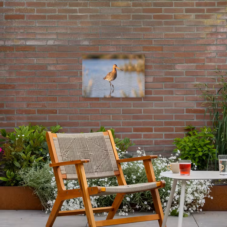 Vogel - Steltloper - Water - Natuur Tuinposter op houten frame 2 cm dik klein -sfeer3