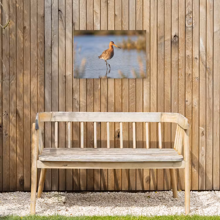 Vogel - Steltloper - Water - Natuur Tuinposter op houten frame 2 cm dik klein -sfeer4