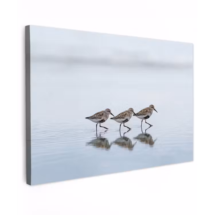 Vogels - Water - Grijs Tuinposter op houten frame 2 cm dik klein -3d