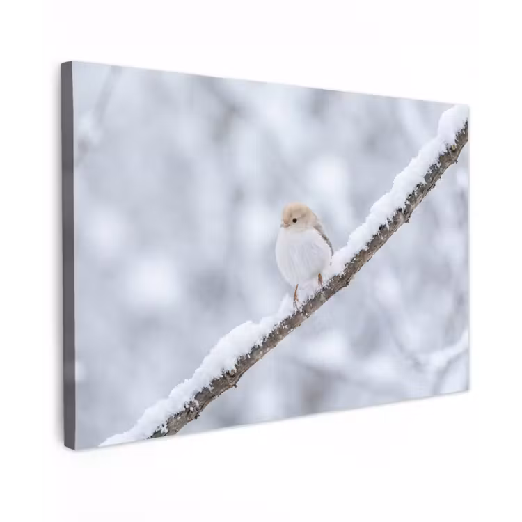 Vogeltje - Sneeuw - Tak - Winter - Zacht Tuinposter op houten frame 2 cm dik klein -3d