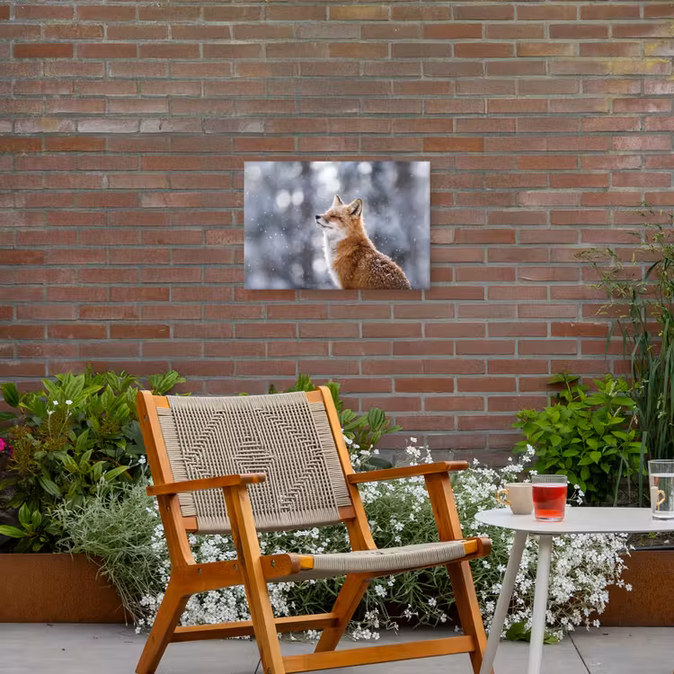 Vos - Sneeuwval - Portret - Winter - Sfeervol Tuinposter op houten frame 2 cm dik klein -sfeer3