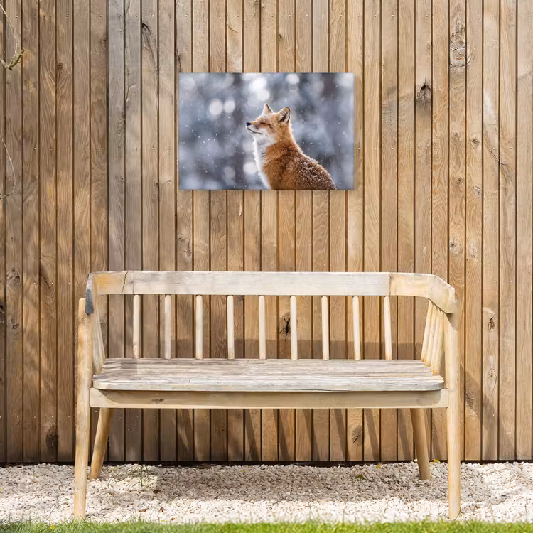 Vos - Sneeuwval - Portret - Winter - Sfeervol Tuinposter op houten frame 2 cm dik klein -sfeer4