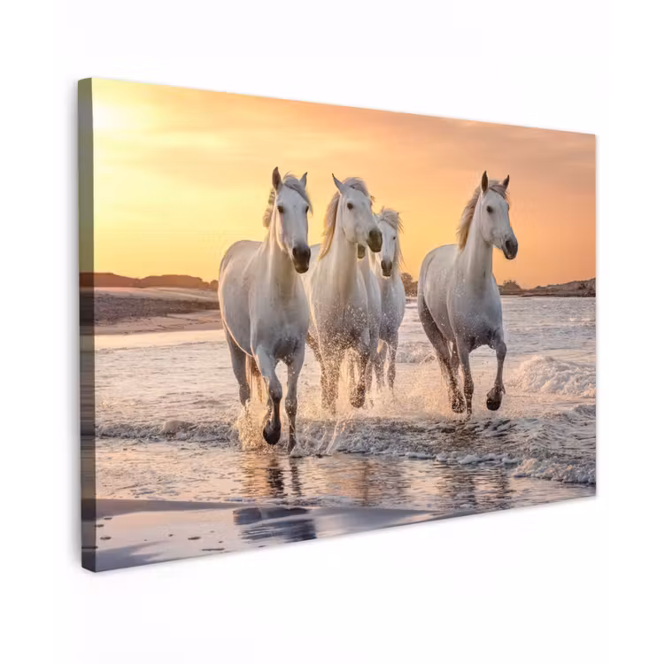 Witte paarden galopperen langs de kust Tuinposter op houten frame 2 cm dik klein -3d