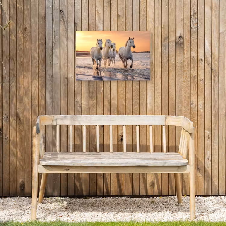 Witte paarden galopperen langs de kust Tuinposter op houten frame 2 cm dik klein -sfeer4