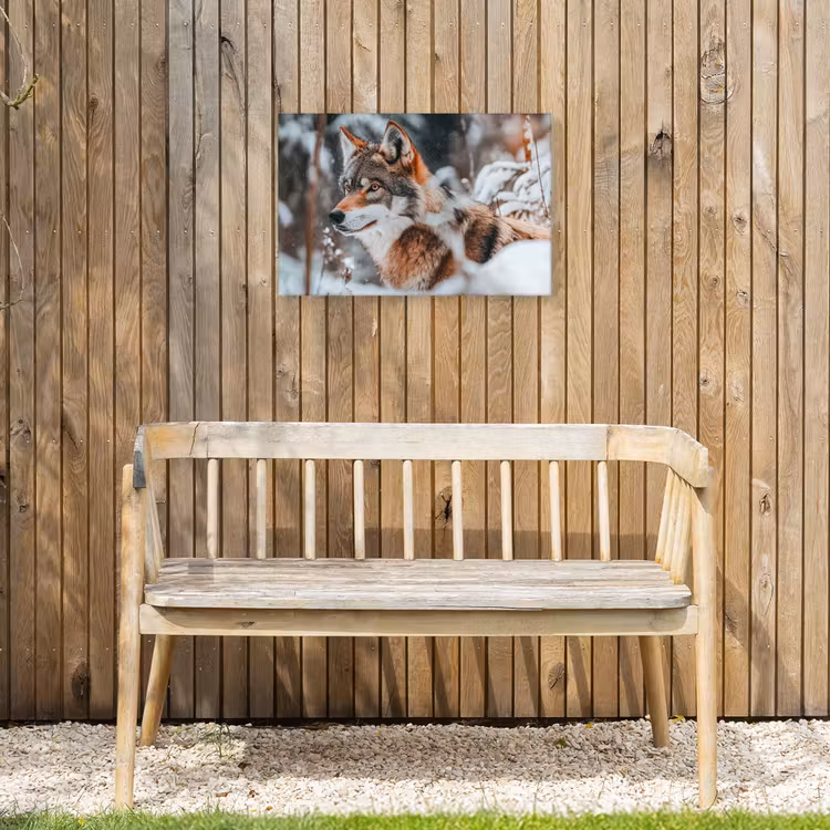 Wolf - Sneeuw - Winter - Dieren - Natuur - Sneeuw Tuinposter op houten frame 2 cm dik klein -sfeer4